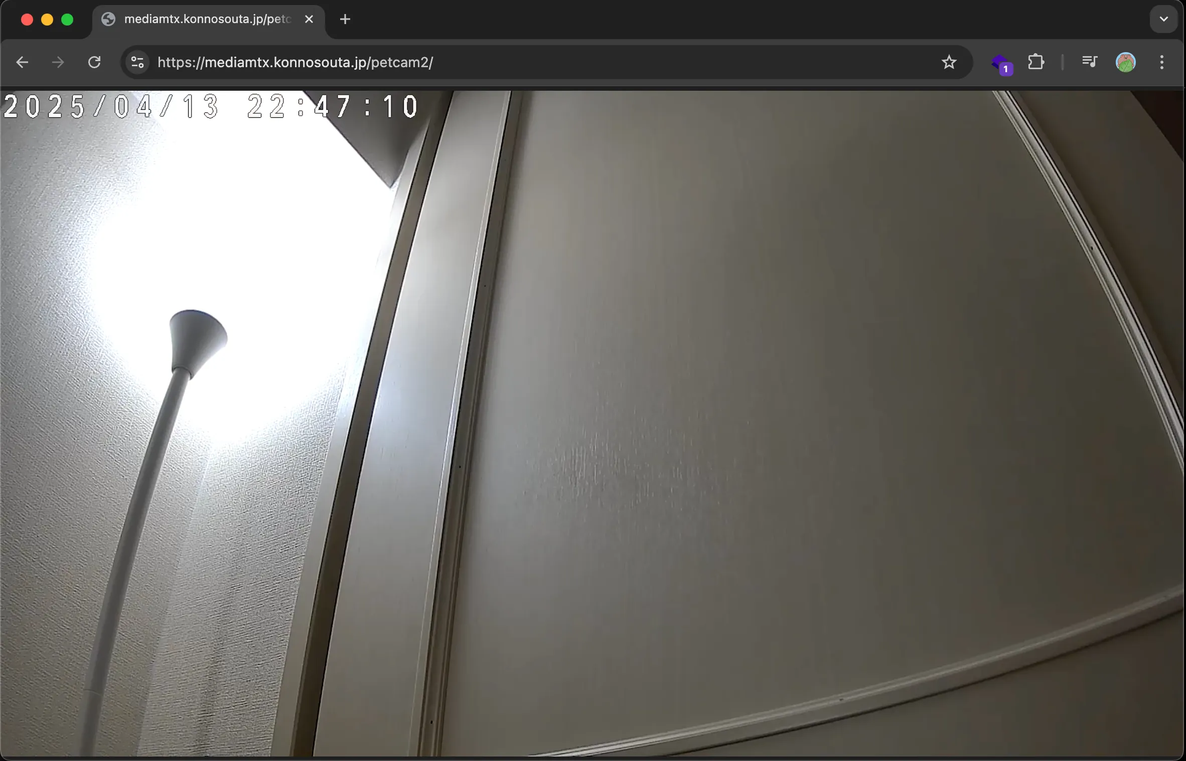 ネットワークカメラの稼働様子
